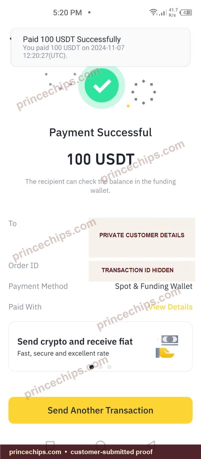 USDT payment screenshot – 100 USDT November 2024