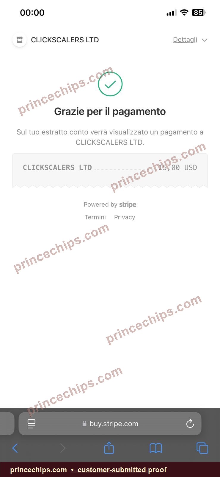 Stripe payment screenshot – $15 USD received